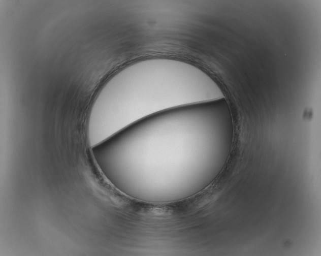 X0000111000546200906191146