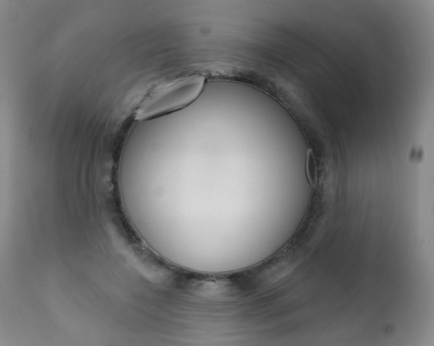 X0000111000548200906191146