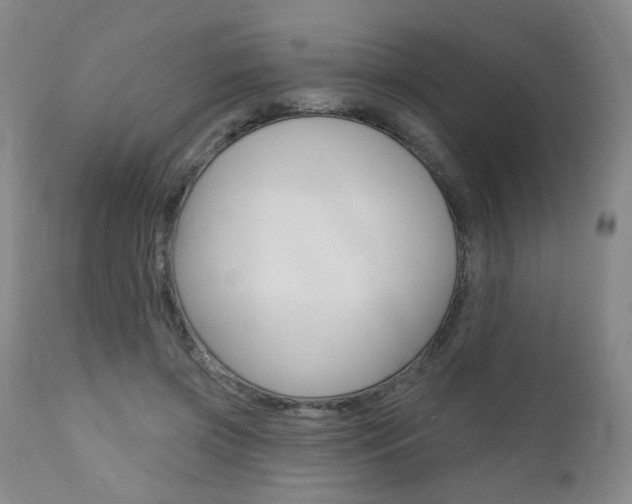X0000111000549200906191146