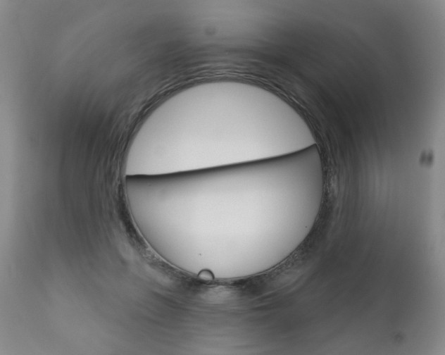 X0000111000551200906191146