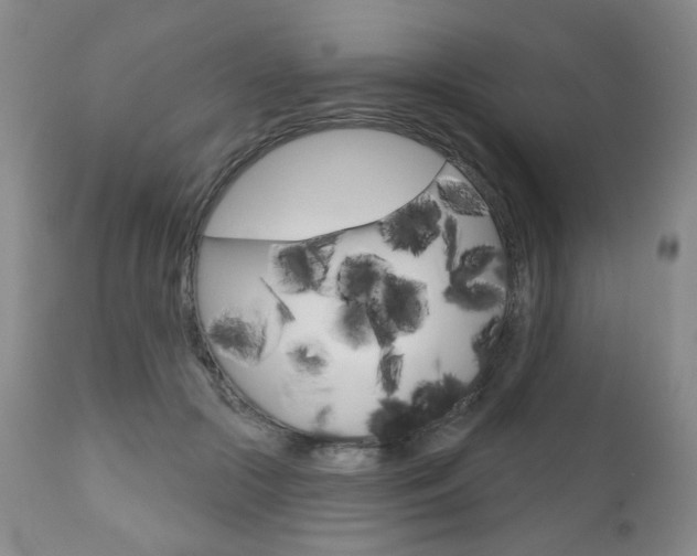 X0000111000553200906191146