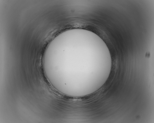X0000111000554200906191146