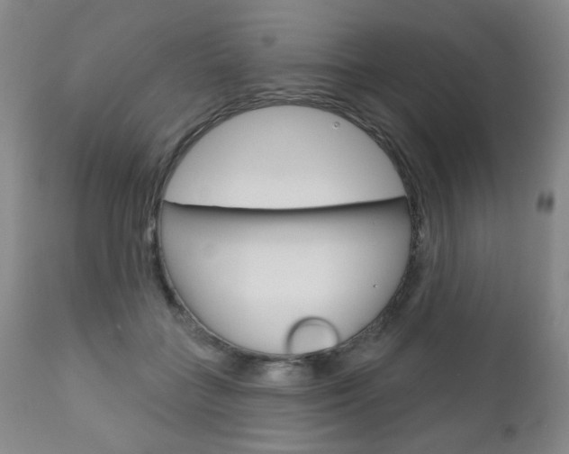 X0000111000555200906191146