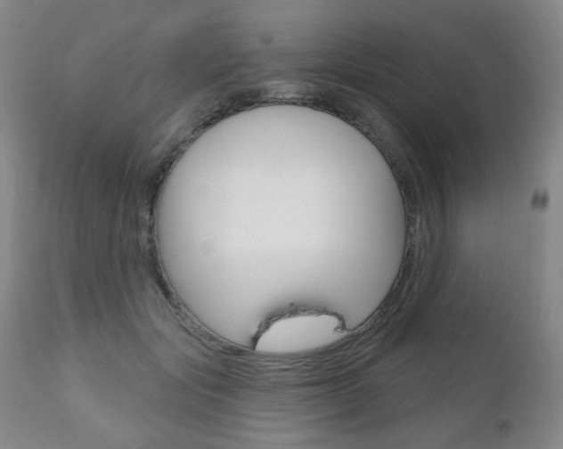 X0000111000557200906191146