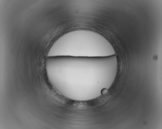 X0000111000559200906191146