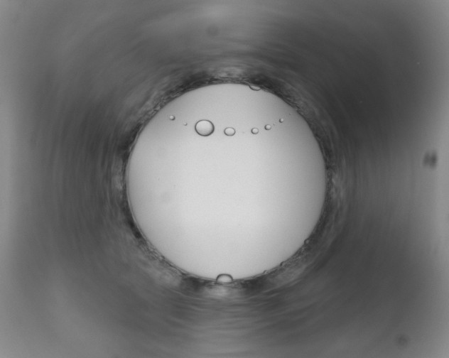 X0000111000561200906191146