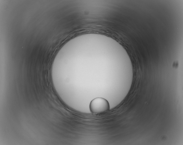 X0000111000562200906191146