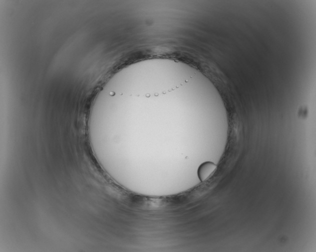 X0000111000565200906191146