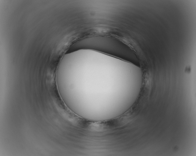X0000111000568200906191146