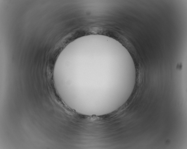 X0000111000569200906191146