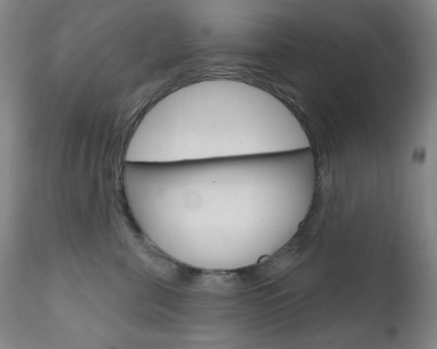 X0000111000571200906191146
