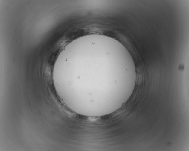 X0000111000573200906191146