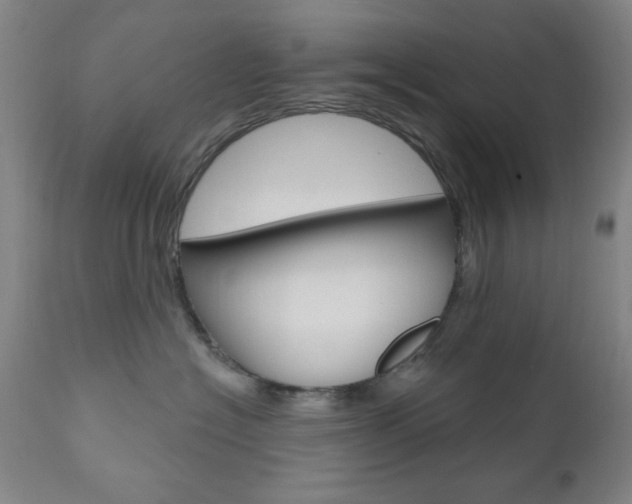 X0000111000574200906191146