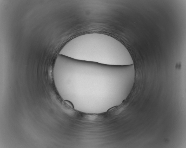 X0000111000575200906191146