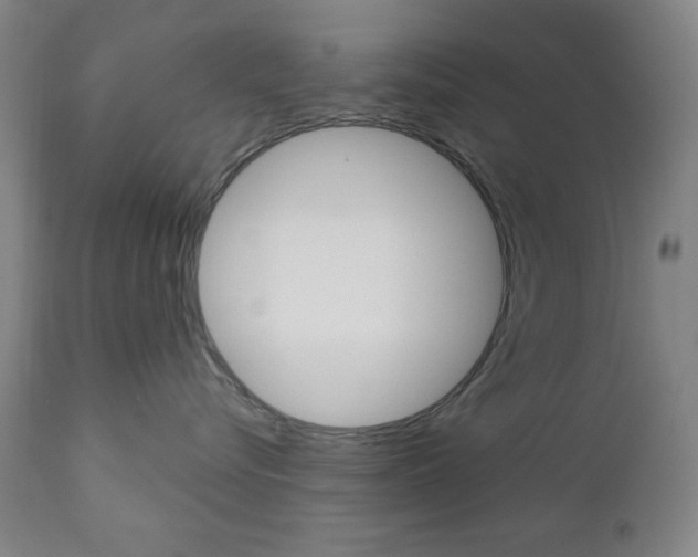 X0000111000576200906191146