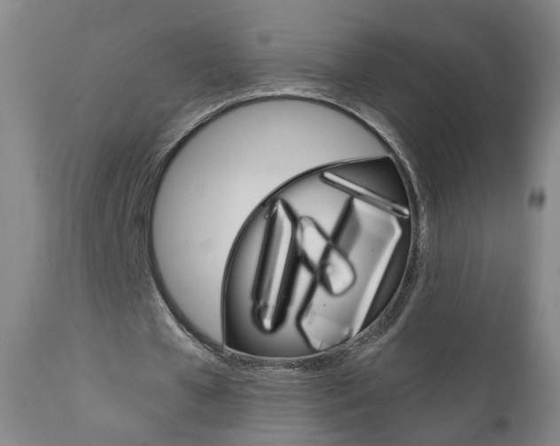 X0000111000577200906191146