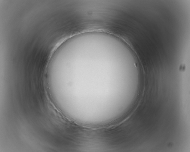 X0000111000579200906191146