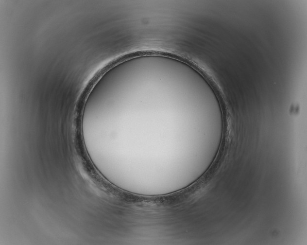 X0000111000580200906191146