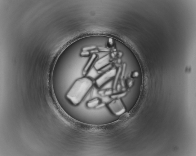 X0000111000581200906191146