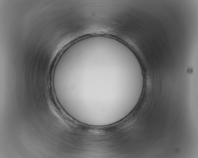 X0000111000582200906191146
