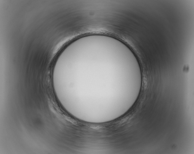 X0000111000583200906191146