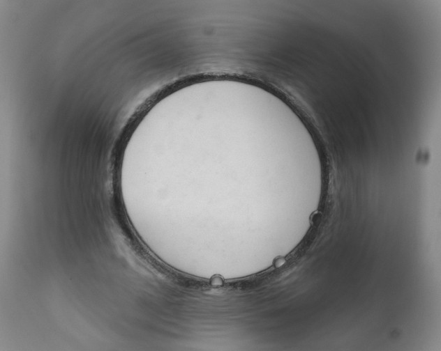 X0000111000584200906191146