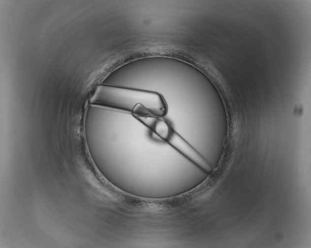 X0000111000585200906191146