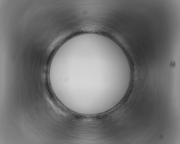 X0000111000586200906191146