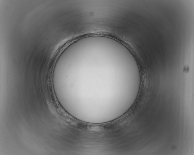 X0000111000587200906191146