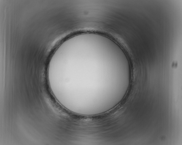 X0000111000588200906191146
