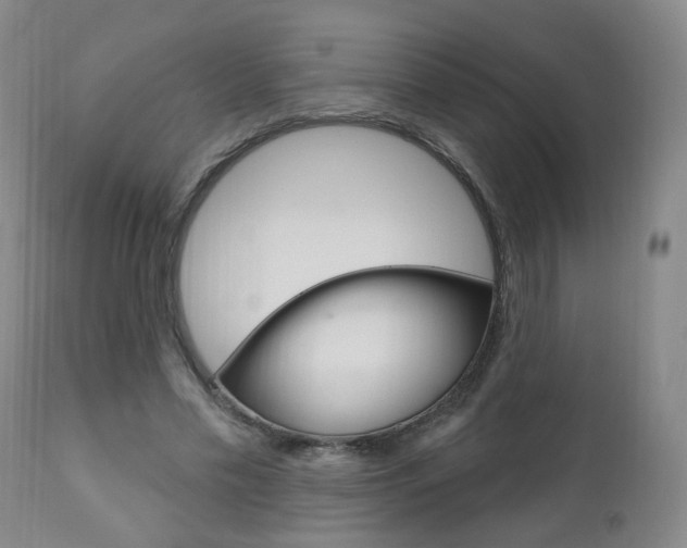 X0000111000589200906191146