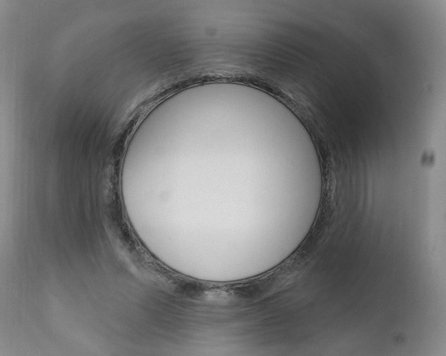 X0000111000591200906191146