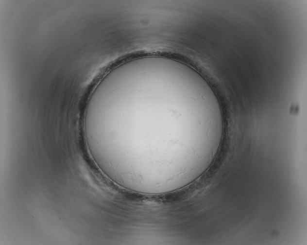 X0000111000592200906191146