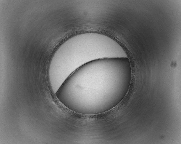X0000111000593200906191146