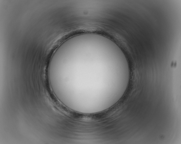 X0000111000596200906191145