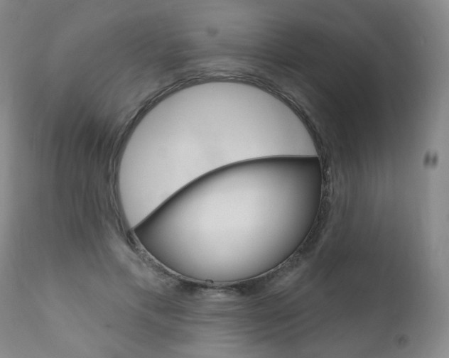 X0000111000597200906191145