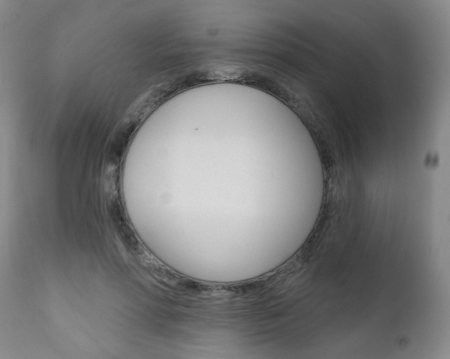 X0000111000598200906191145