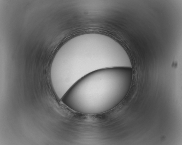 X0000111000601200906191145