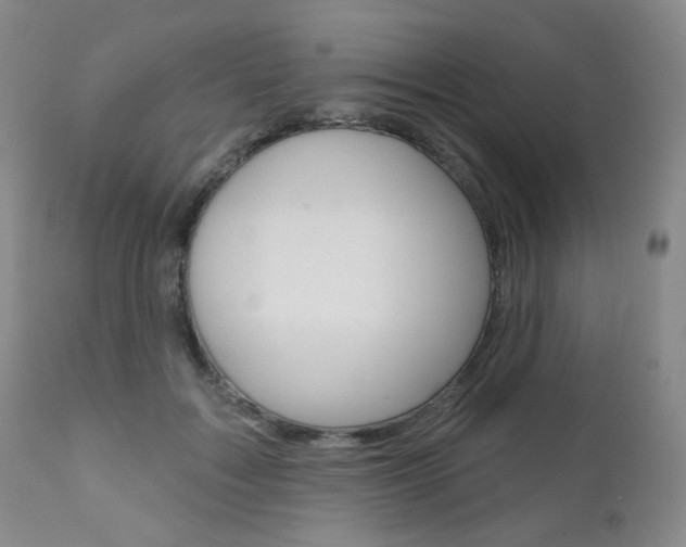 X0000111000603200906191145