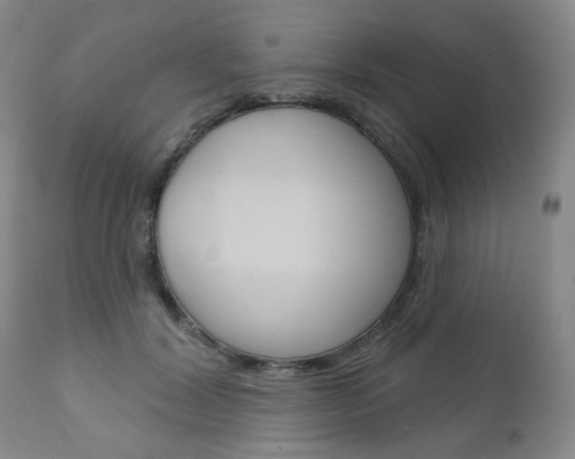 X0000111000604200906191145