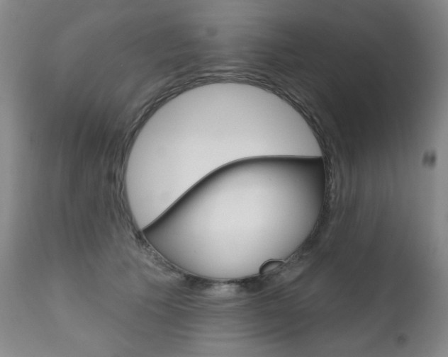 X0000111000609200906191145