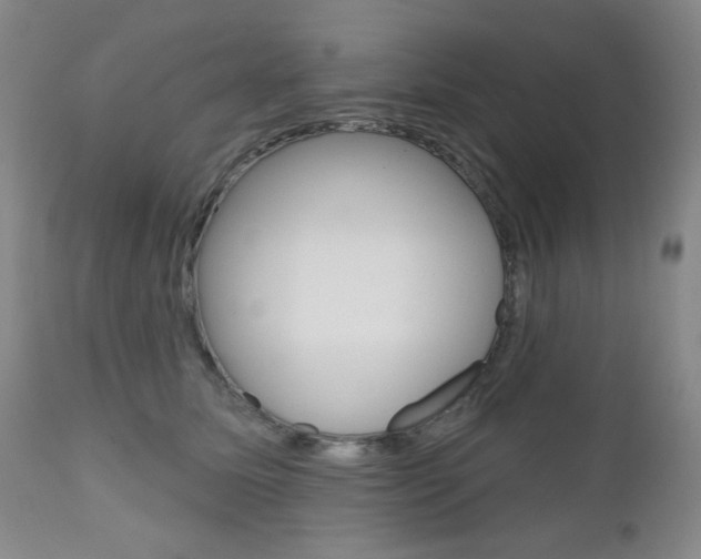 X0000111000611200906191145