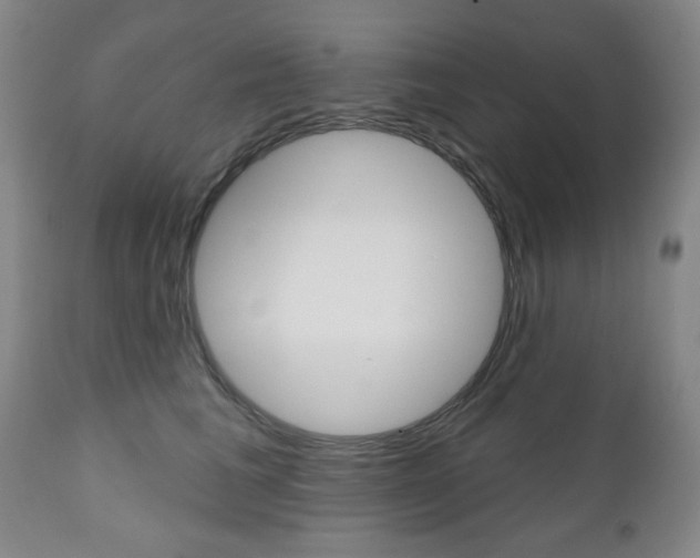 X0000111000613200906191145