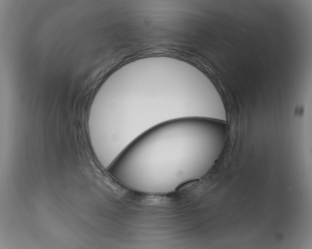 X0000111000617200906191145
