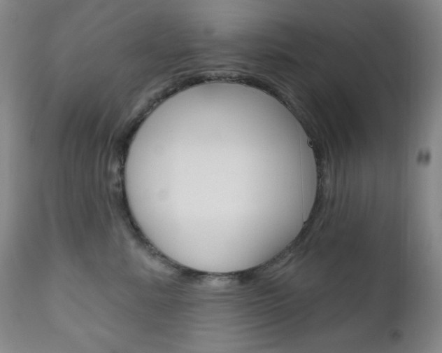 X0000111000619200906191145