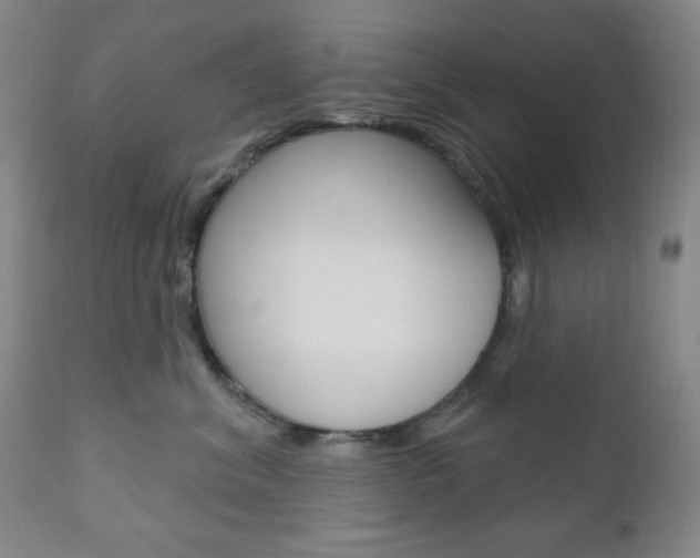X0000111000620200906191145