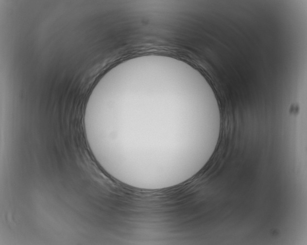 X0000111000621200906191145