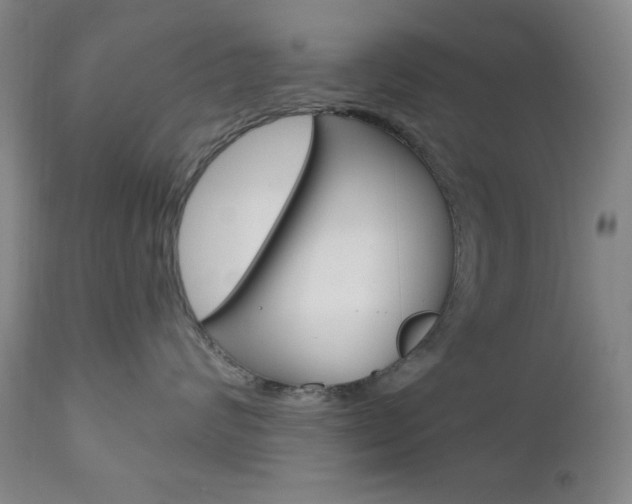 X0000111000624200906191145