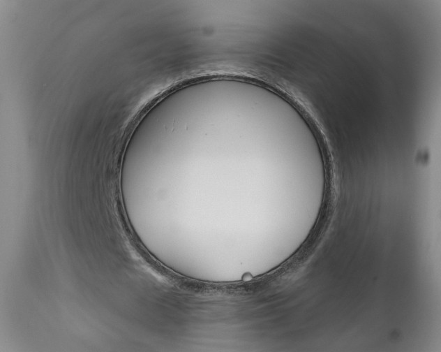 X0000111000625200906191144
