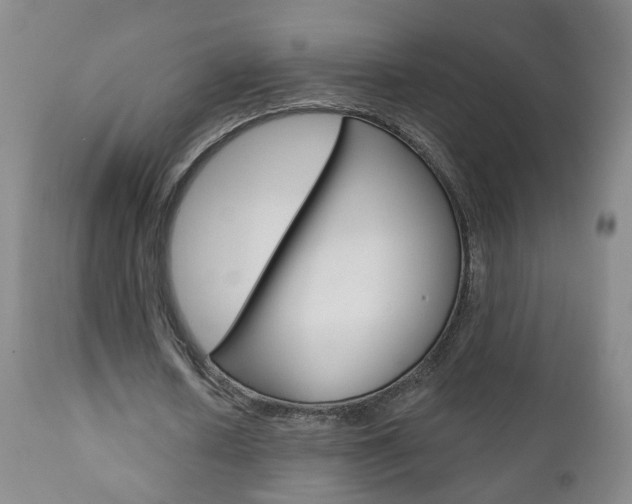 X0000111000626200906191144